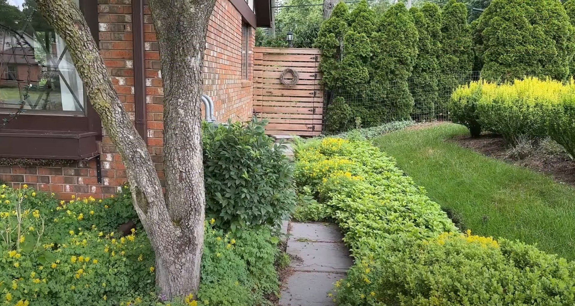 Professional landscape design with walkway and mature garden plantings Elegant garden path with professional landscaping and mature plantings